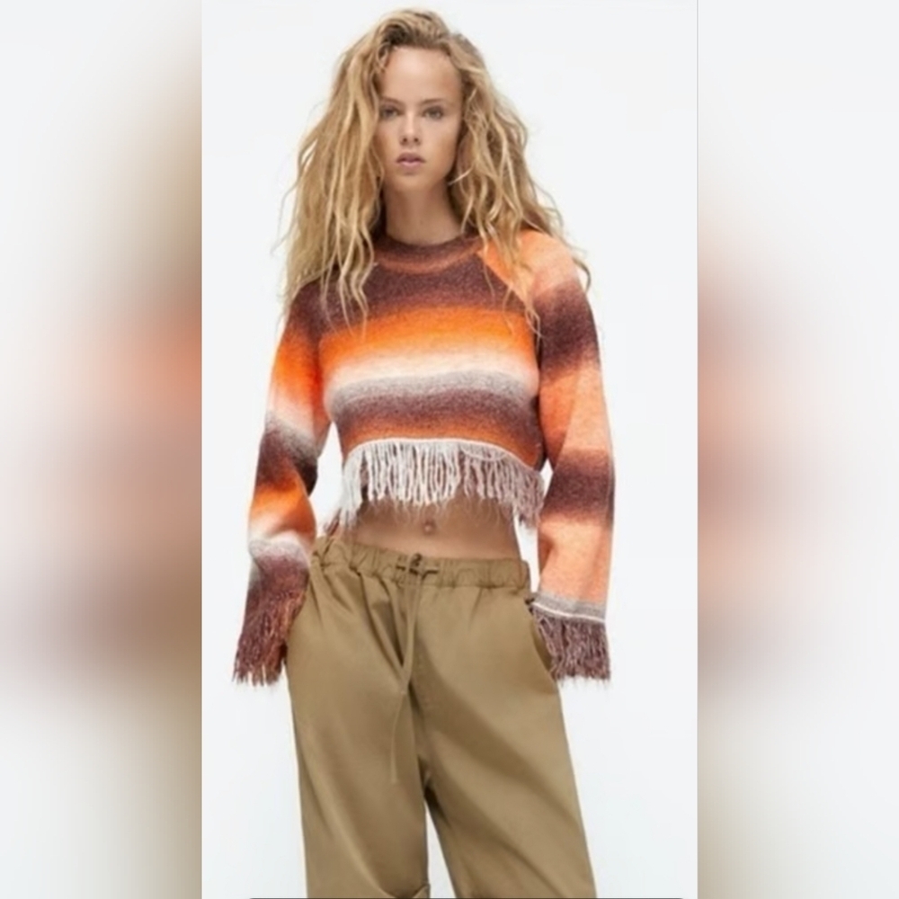 Zara Multicolor Fringe Sweater